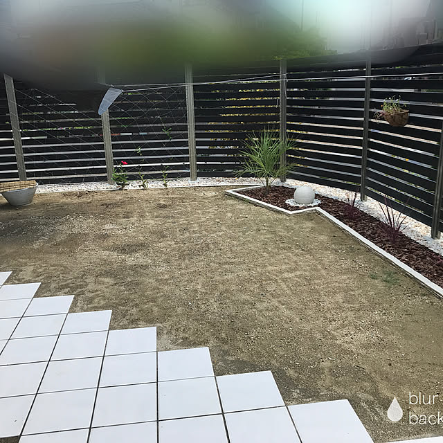 asamiさんの実例写真