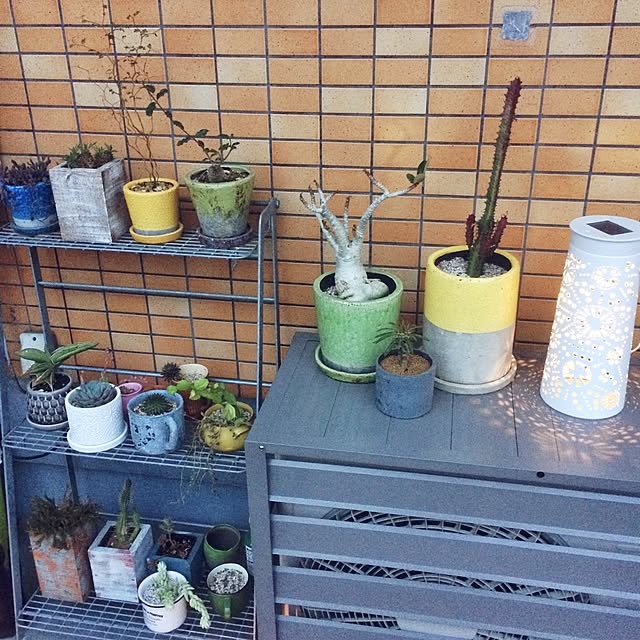hitomiさんの実例写真