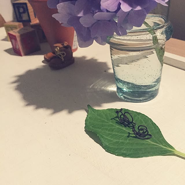 iroa-Sさんの実例写真