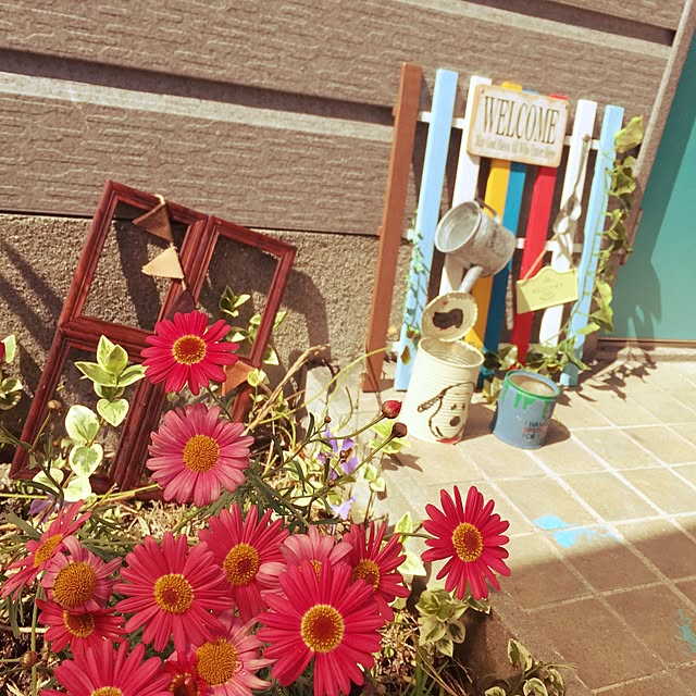 Chihiroさんの実例写真