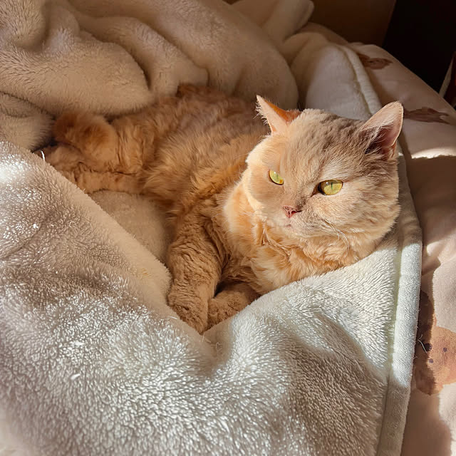 naokoさんの部屋