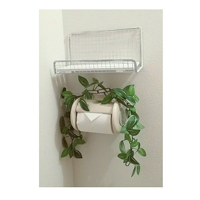 Rocoさんの実例写真