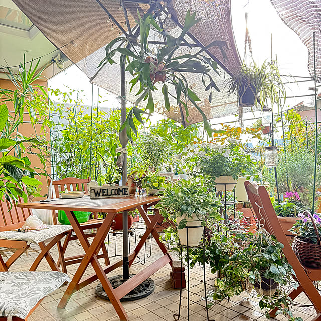 Aqettyさんの部屋