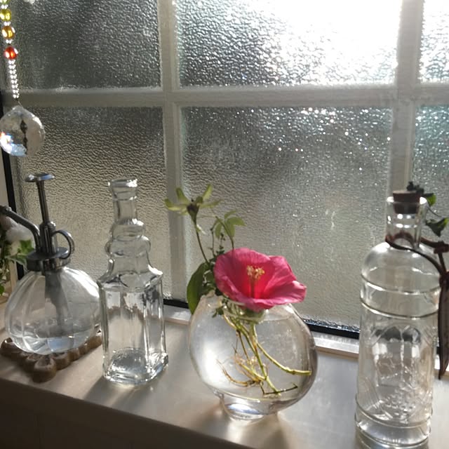 Minakoさんの実例写真
