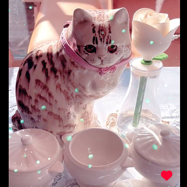 Watanabejunpilさんの部屋