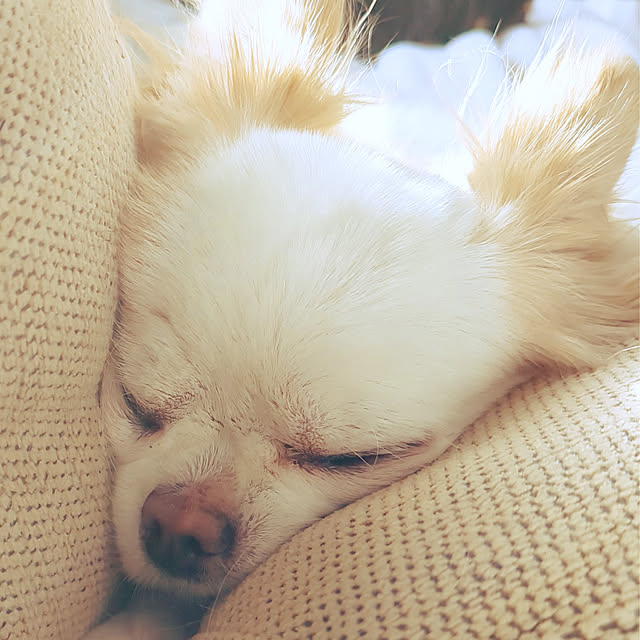 TOMIさんの実例写真