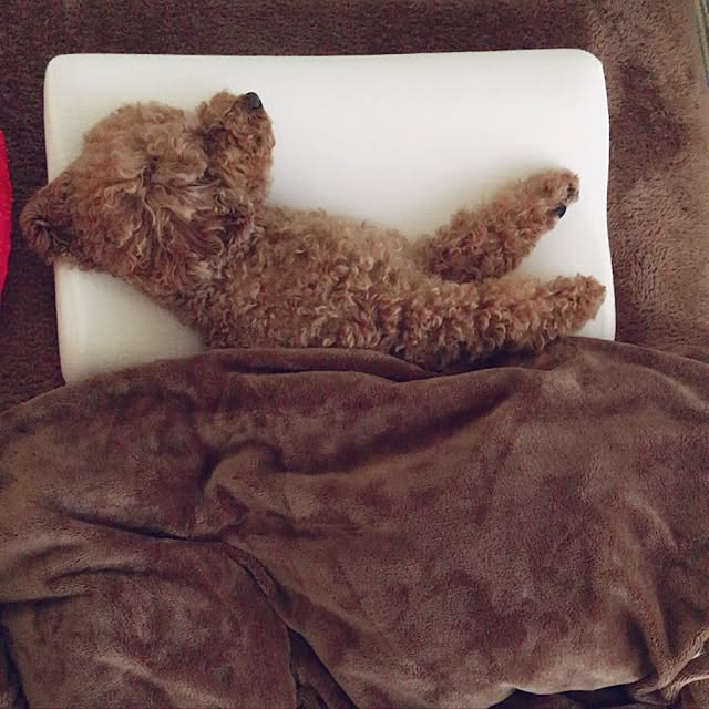 kazuさんの実例写真