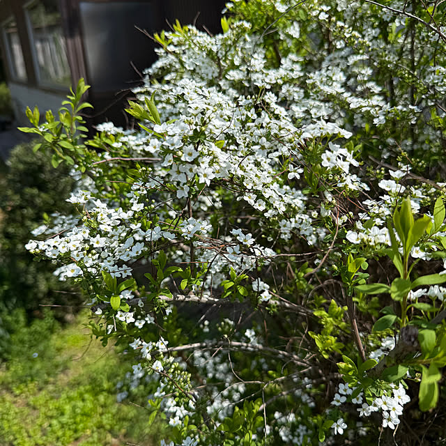 sakakenさんの実例写真