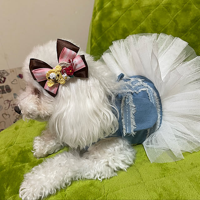 kakoさんの実例写真