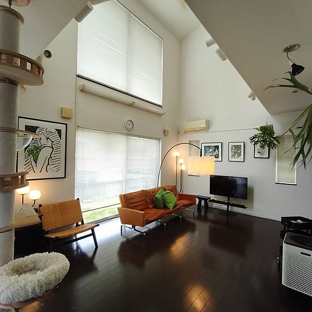 kiyozowさんの実例写真