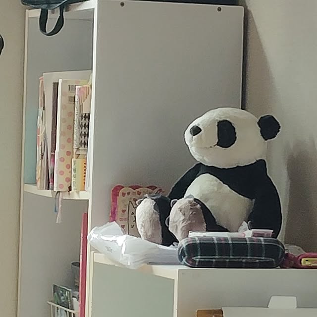 ururinnaiuさんの実例写真
