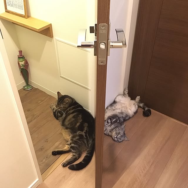 mikomaruさんの実例写真