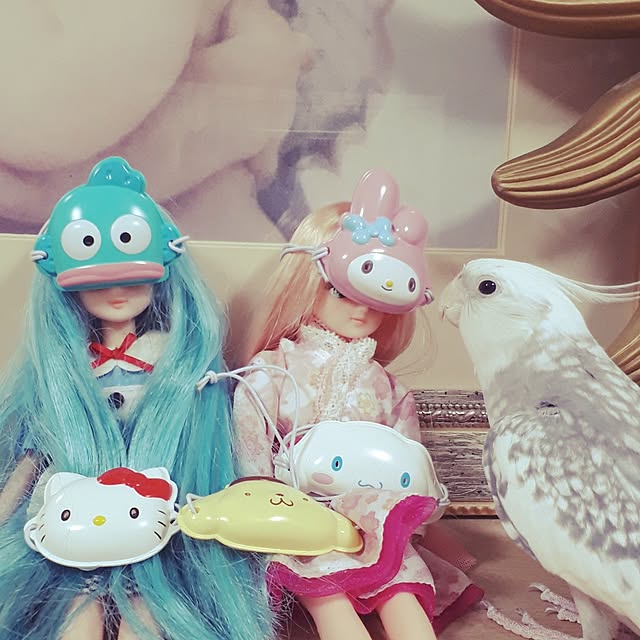 ANTENNAさんの実例写真