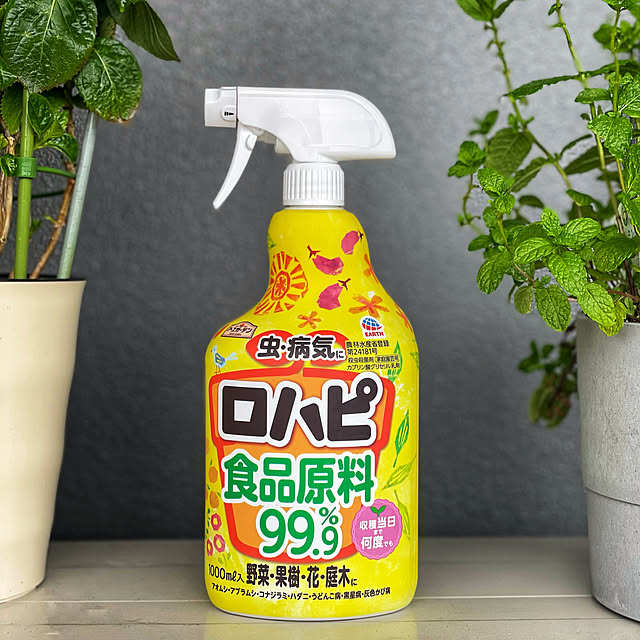 tina315mhさんの実例写真