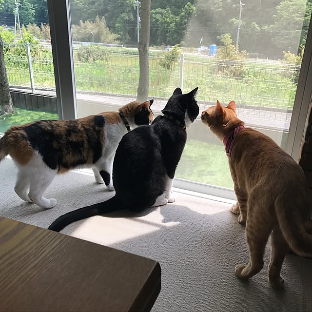 mtkさんの実例写真