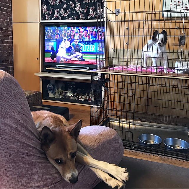miseiさんの実例写真