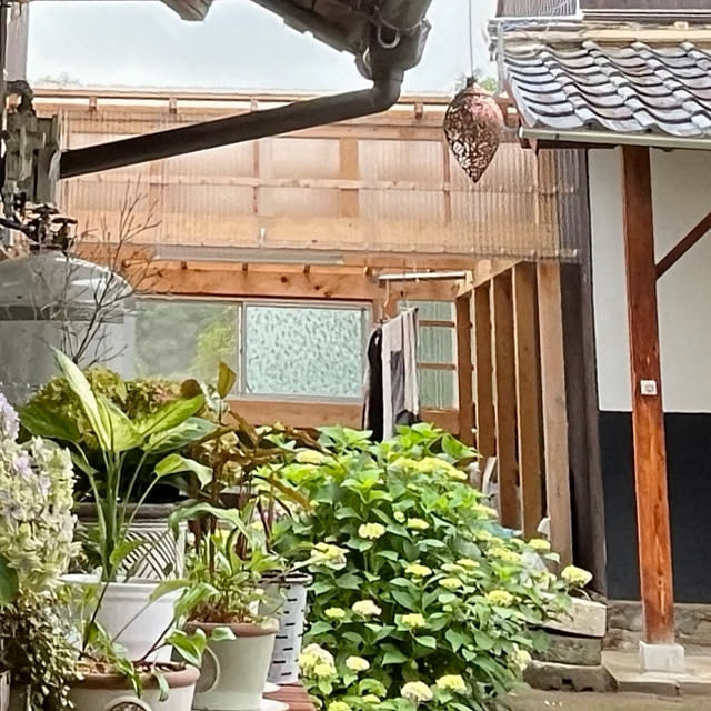 cotaさんの部屋