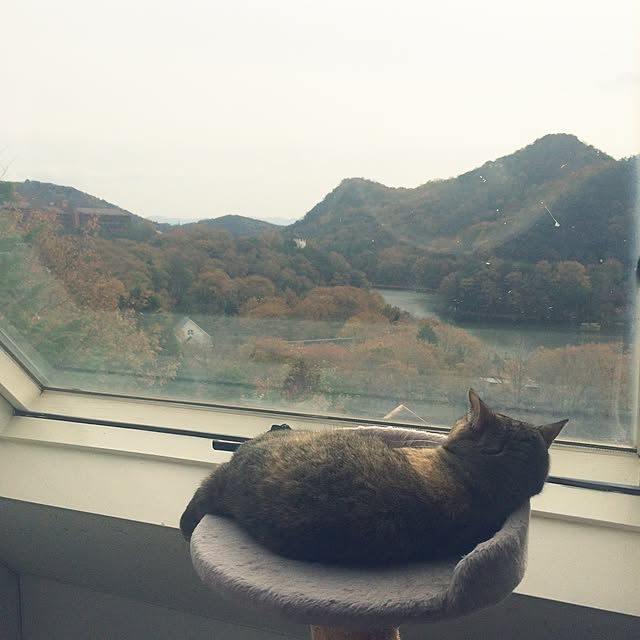 reina_kkkさんの実例写真