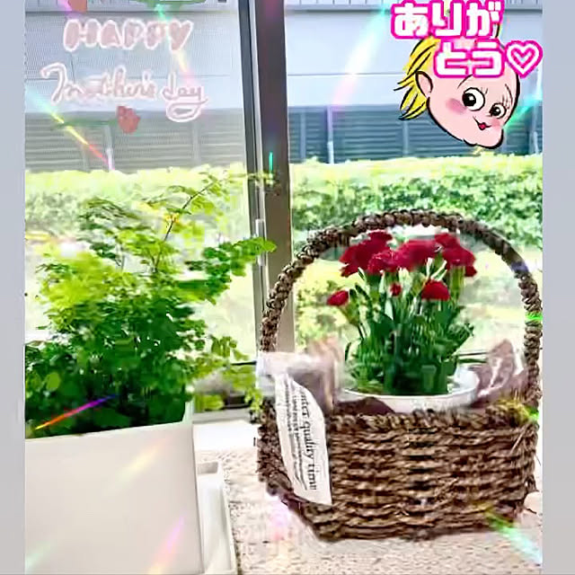 YuuKoさんの実例写真