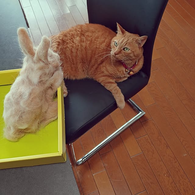 NOAHさんの実例写真