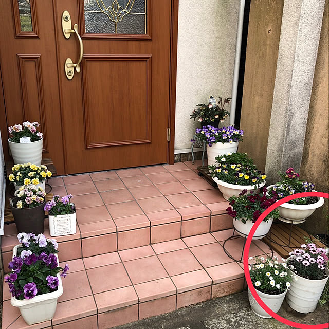 fumikoiさんの部屋