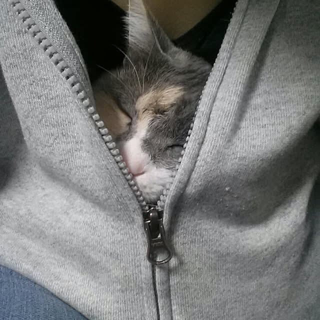 Seikoさんの実例写真
