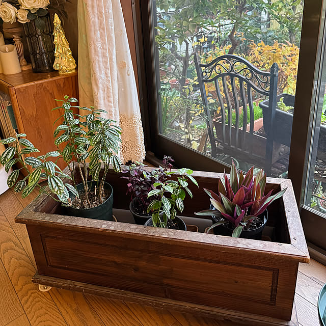 mamizaさんの部屋