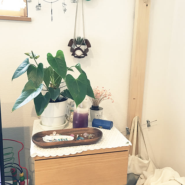 anさんの実例写真