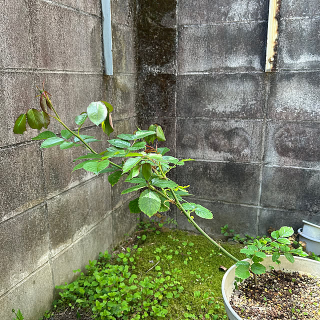 fumikoiさんの部屋