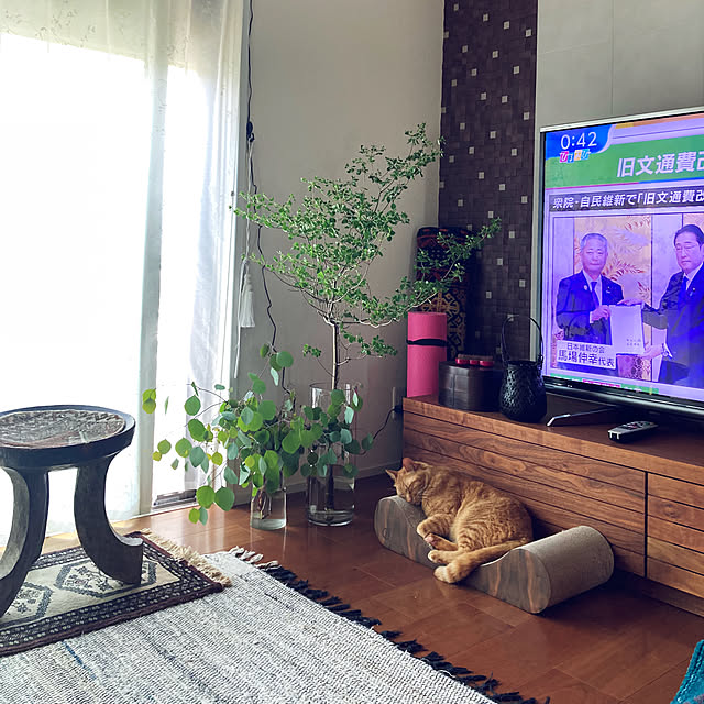 Nahochanさんの実例写真