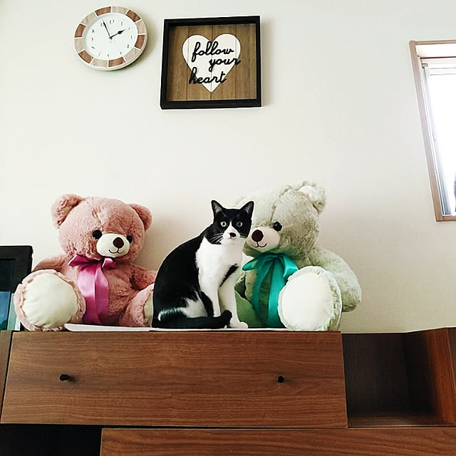 kirakirahikaruさんの実例写真