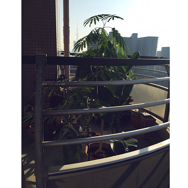 HKSさんの実例写真