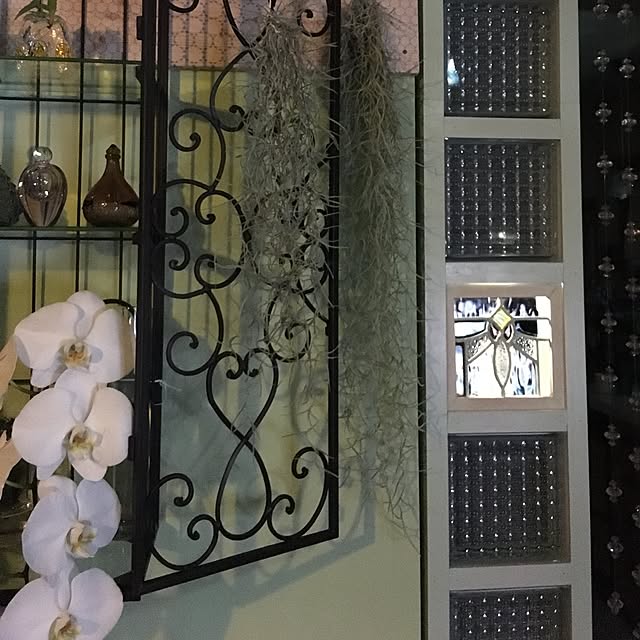 cloverさんの実例写真