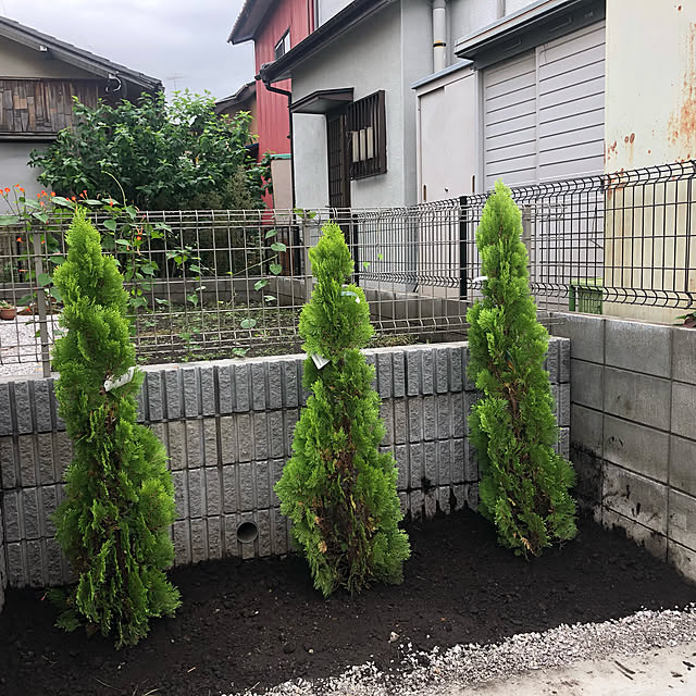 庭/玄関/入り口のインテリア実例 - 2020-09-14 08:08:29