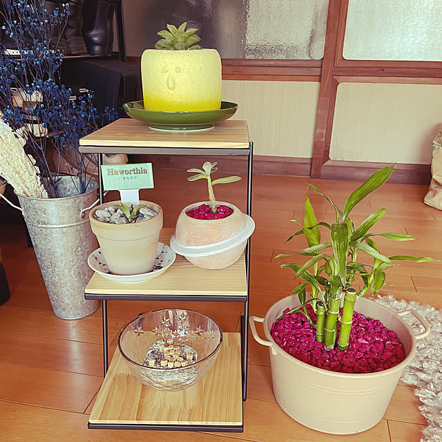 hameさんの部屋