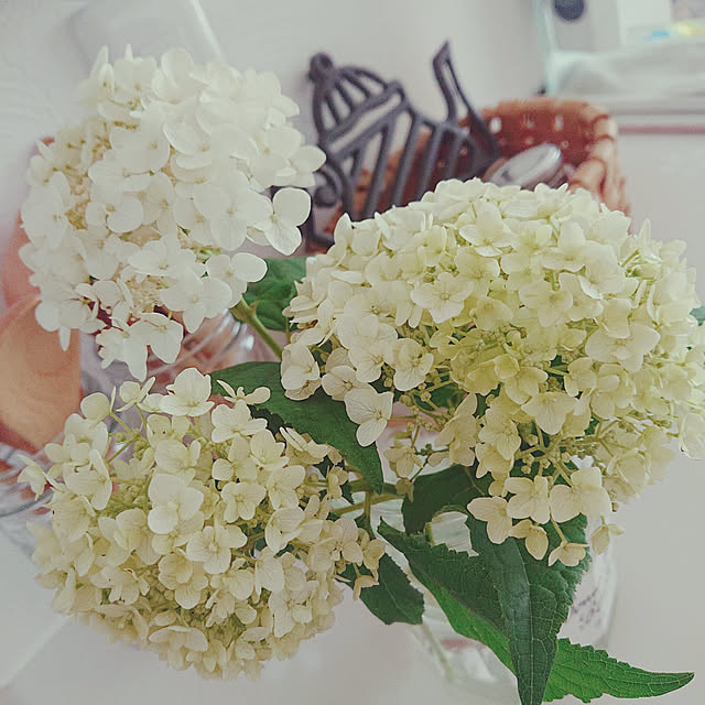 4-mamaさんの実例写真