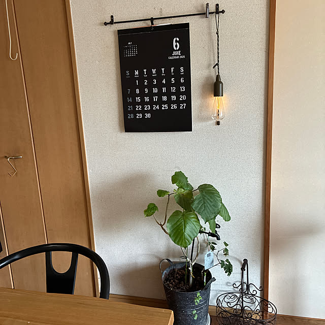 DailyRoomclip