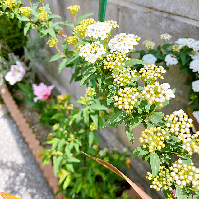 so.yuさんの部屋