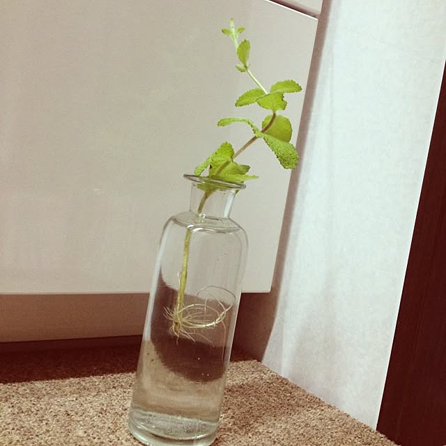 Rie...さんの実例写真