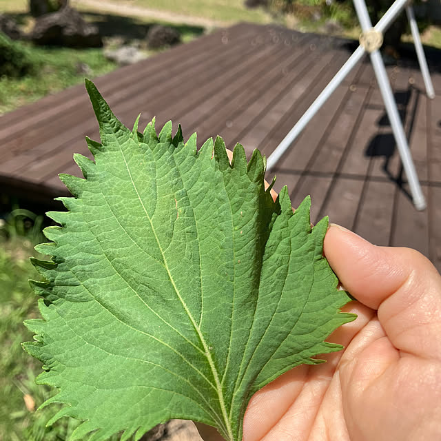 Nagakoさんの部屋