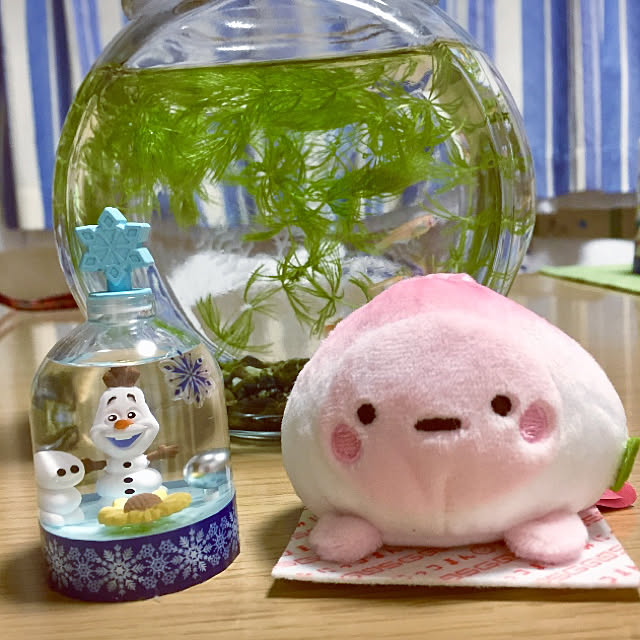 takakoさんの実例写真