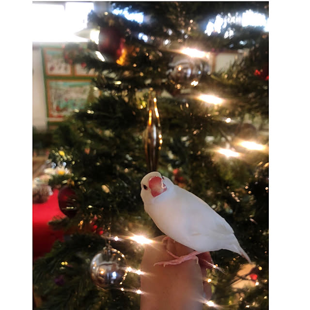 riettaさんの実例写真