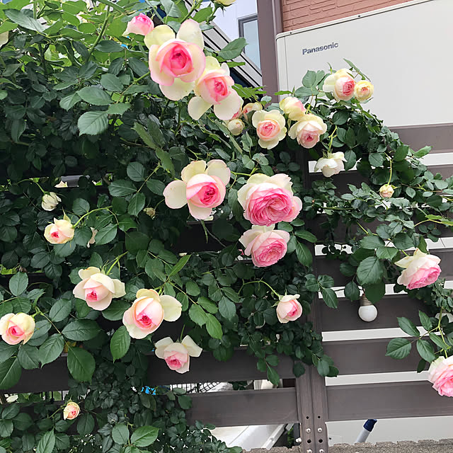 CoffeeHouseさんの実例写真