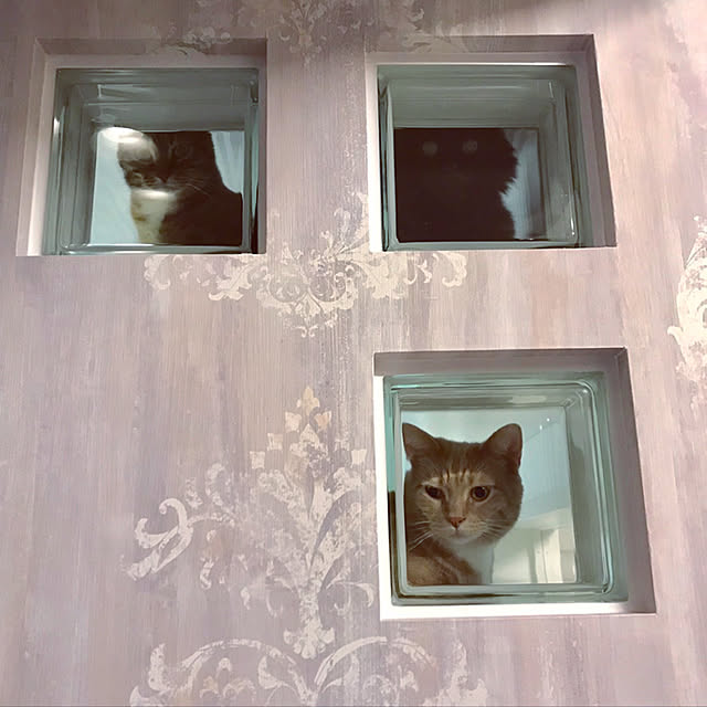 monomaさんの実例写真