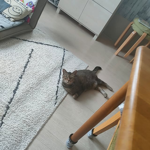 cocomintさんの実例写真