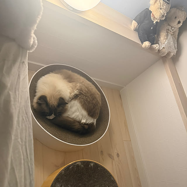 niuさんの実例写真