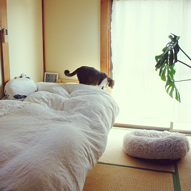 kanade_olhさんの実例写真