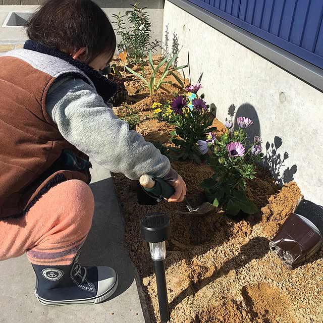 taitaiさんの実例写真