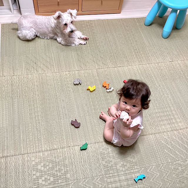 suzyさんの実例写真