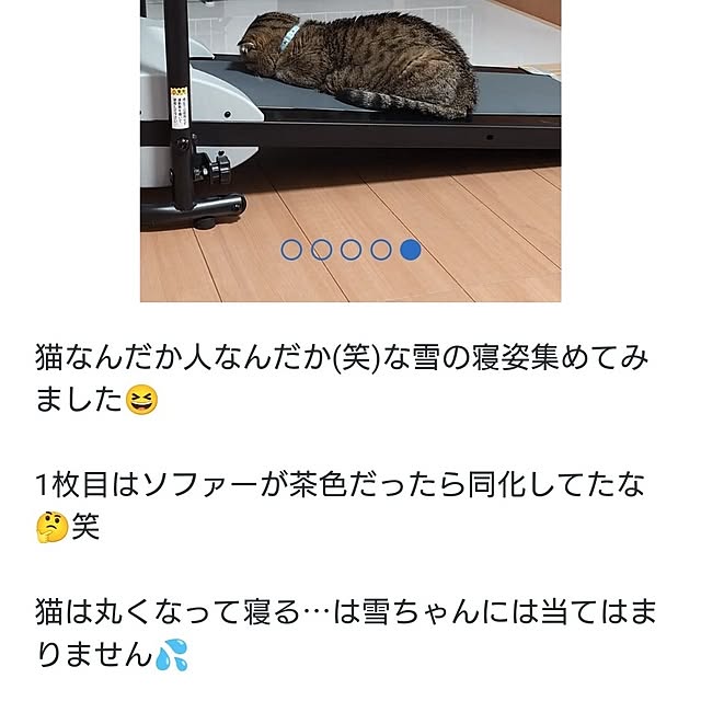 noguriさんの部屋